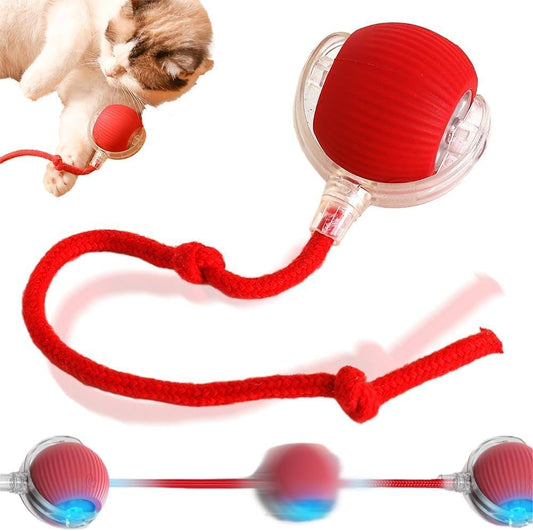 Pet Interactive Ball Toy